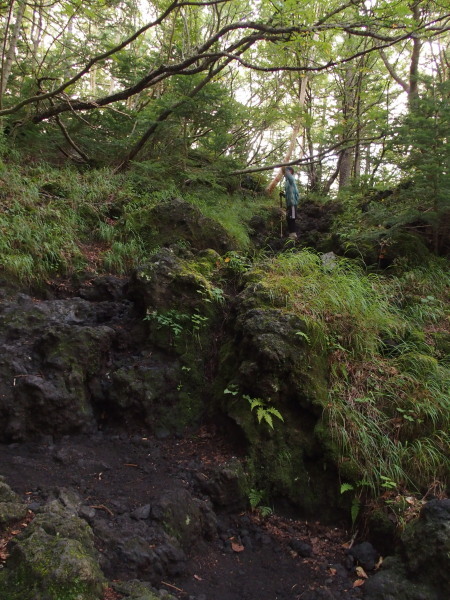 c0122670_23001545.jpg