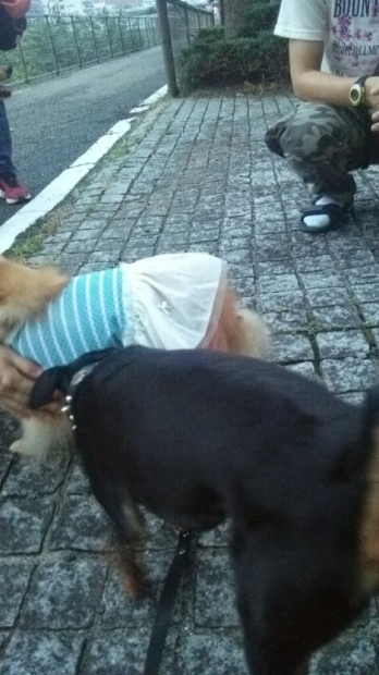 d0177473_06175084.jpg