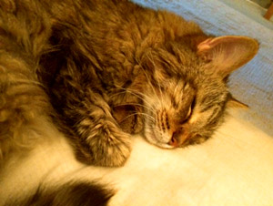 c0063182_11102790.jpg