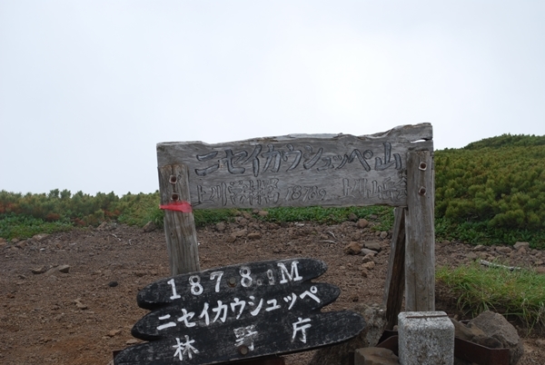 a0133886_12542614.jpg