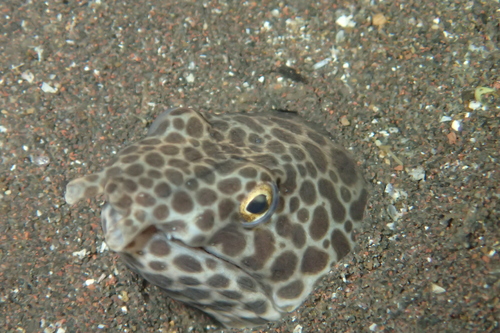 f0297095_16561977.jpg
