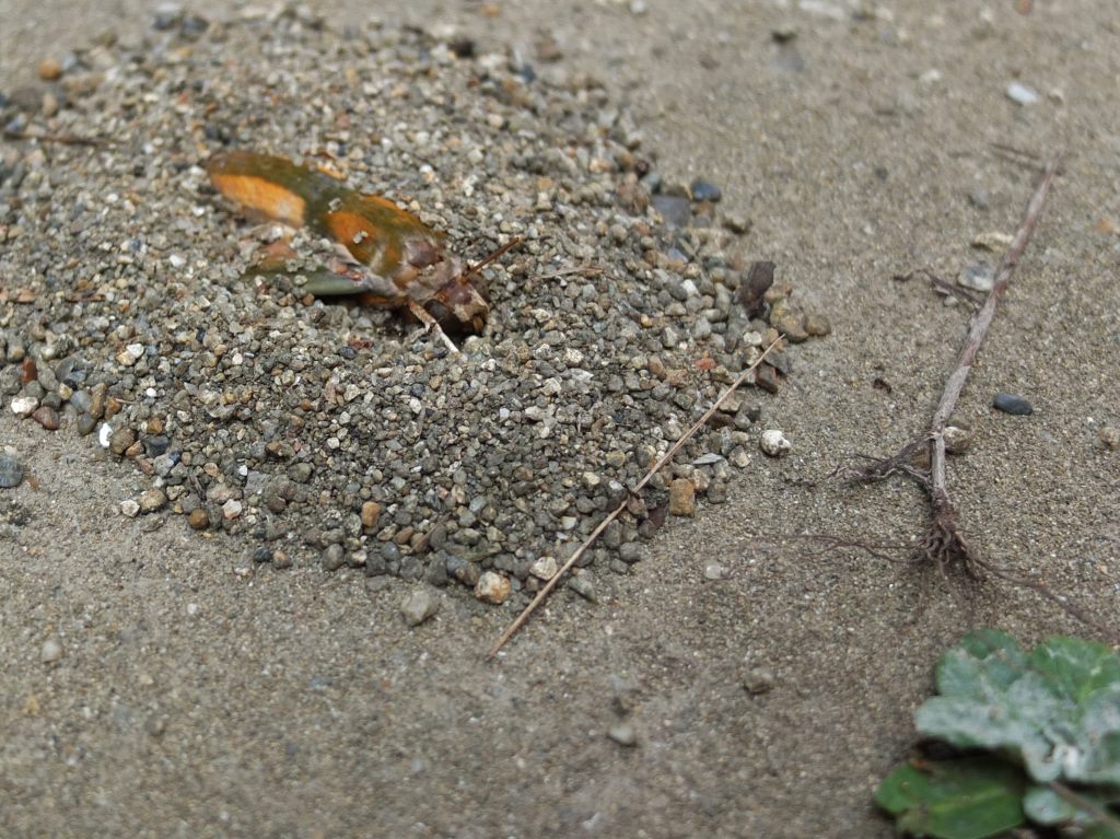 b0212396_2322783.jpg