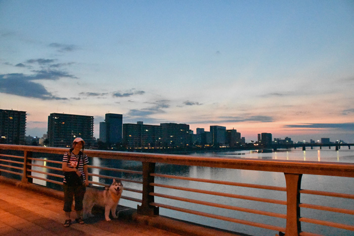 c0049299_21475346.jpg