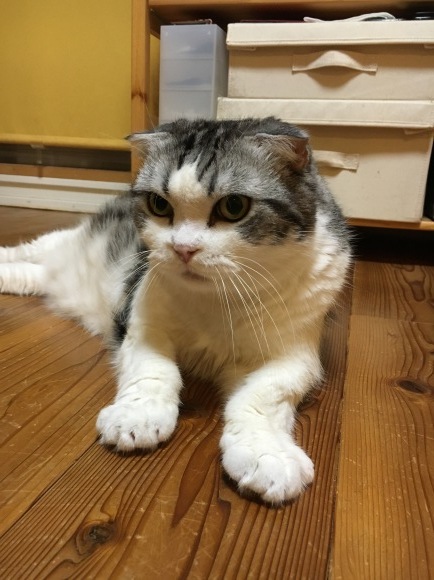 c0011300_23125713.jpeg