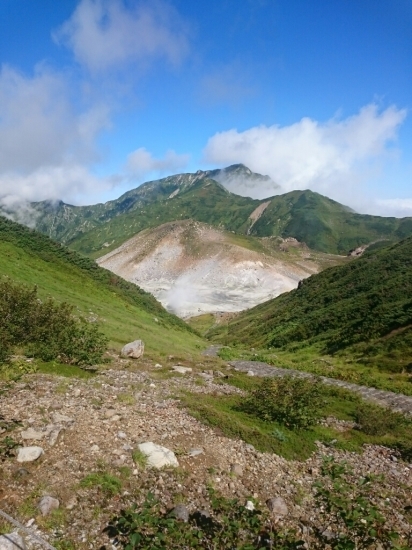 d0141800_04153212.jpg