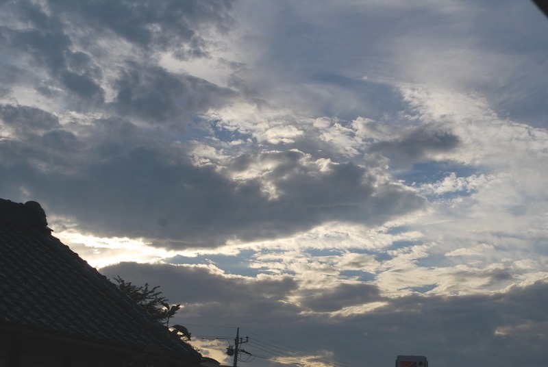 e0025300_144348.jpg