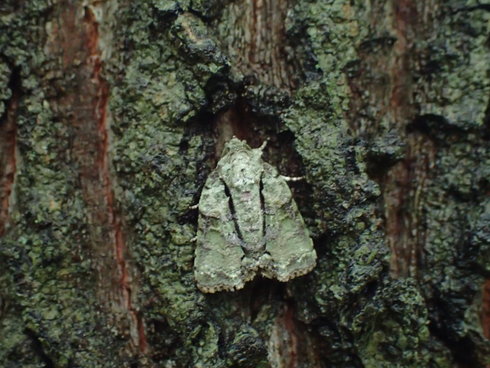 d0251807_19523.jpg