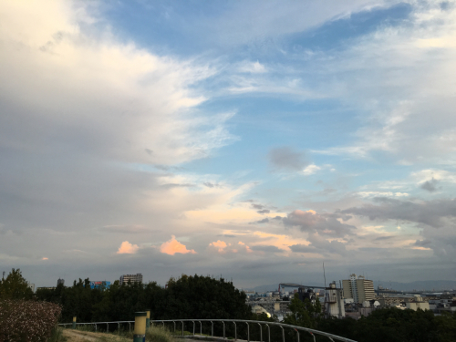 a0098418_22091324.jpg