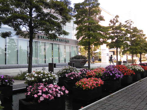 b0285619_2114282.jpg