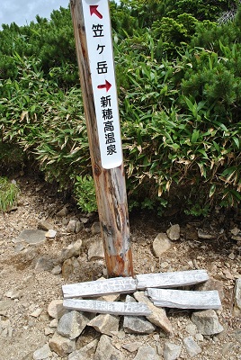 f0000521_538586.jpg