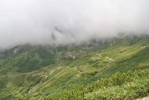 f0000521_540269.jpg