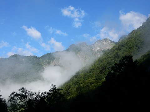 f0000521_583466.jpg