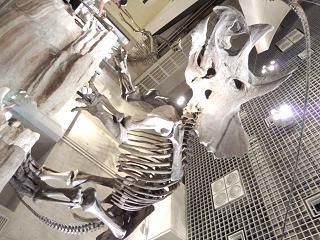 c0311729_16490592.jpg