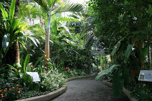f0363529_22244569.jpg