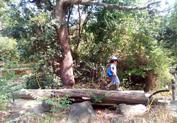 d0351435_09025784.jpg
