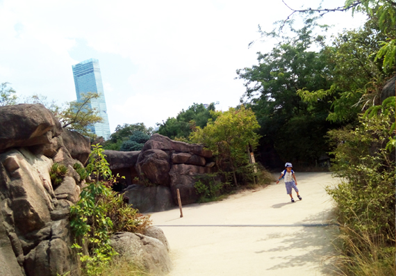 d0351435_09350443.jpg