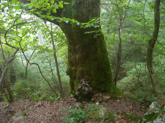e0272335_20311047.jpg