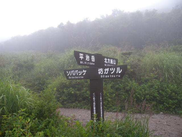 e0272335_20371291.jpg