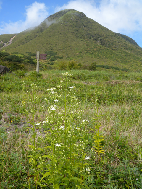 e0272335_21145242.jpg