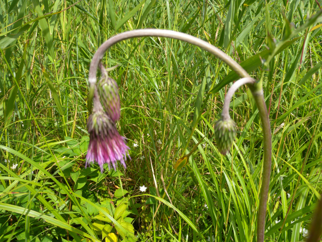 e0272335_2123859.jpg