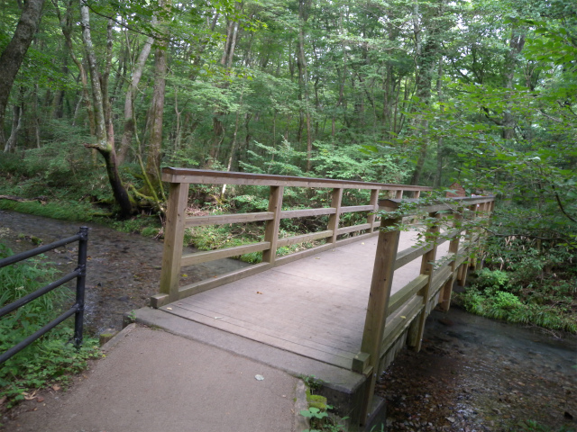 e0272335_21345462.jpg