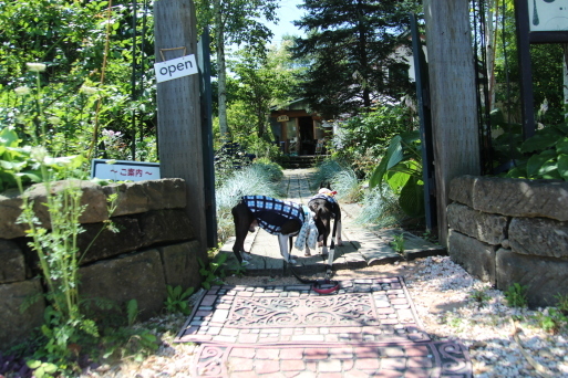 c0265837_20401714.jpg