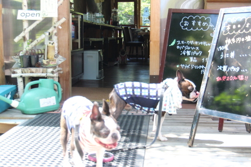 c0265837_20451679.jpg