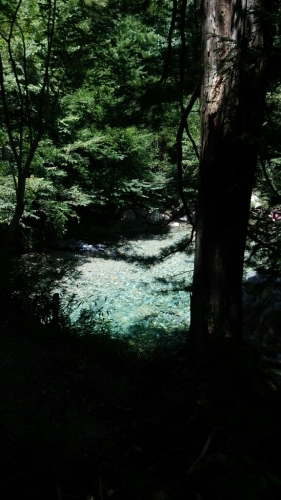 c0335540_09125372.jpg