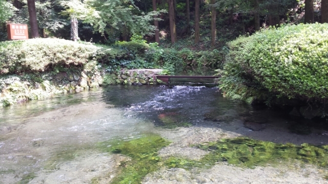 c0025351_15212196.jpg
