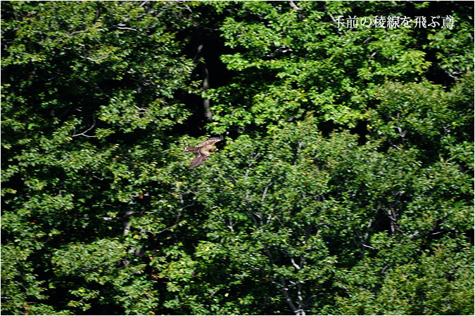 c0061761_8263785.jpg