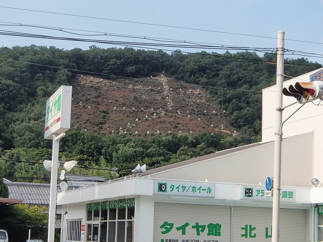 b0044663_13461251.jpg