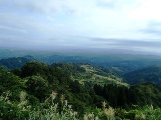 b0079965_04064797.jpg