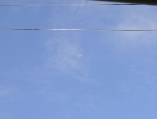 e0041168_8372212.jpg