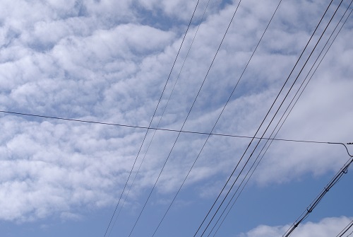 e0041168_8374690.jpg