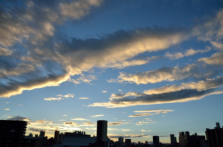 f0108478_17394266.jpg