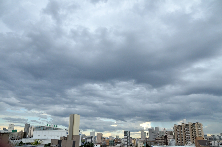 f0108478_17471687.jpg