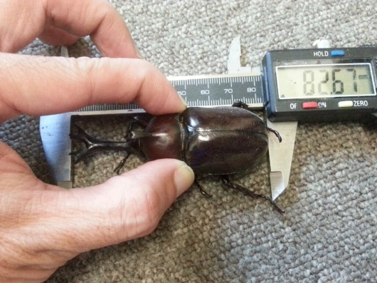 f0183484_07343600.jpg