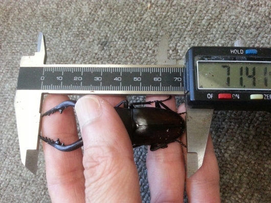 f0183484_07343910.jpg