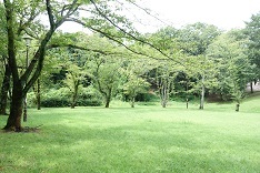 d0183387_18425577.jpg