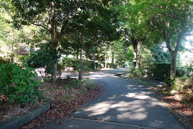 d0183387_23513960.jpg