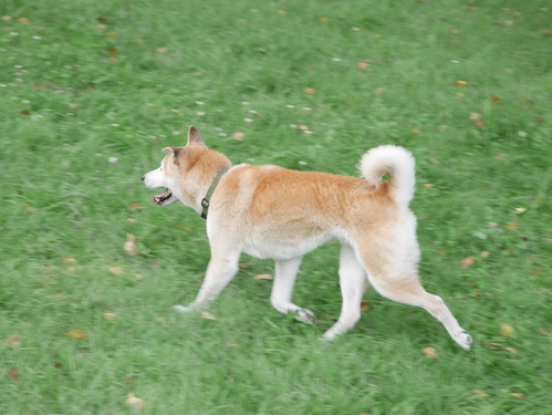 c0123890_19484645.jpg
