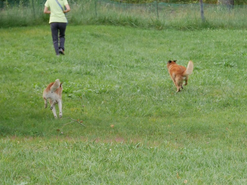 c0123890_2011850.jpg