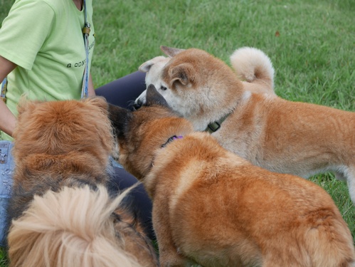 c0123890_2081553.jpg