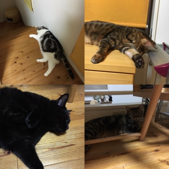 c0011300_21001711.jpeg