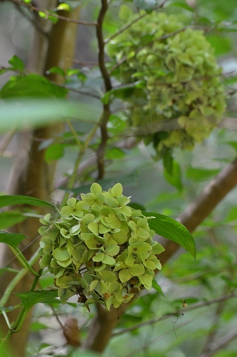 a0240403_8253621.jpg