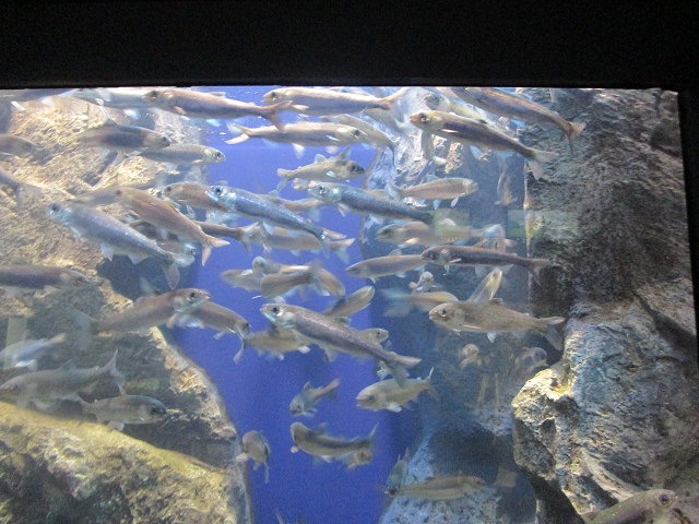 f0202703_2314484.jpg