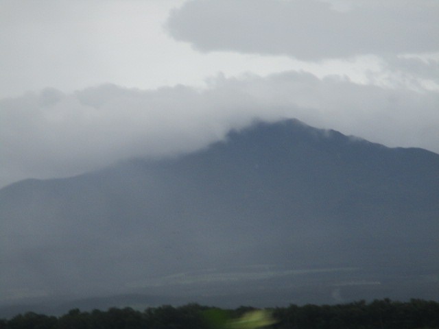 f0202703_23412733.jpg