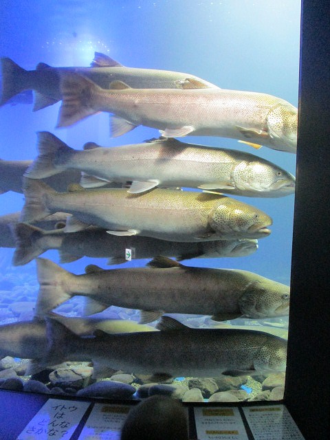 f0202703_234535.jpg