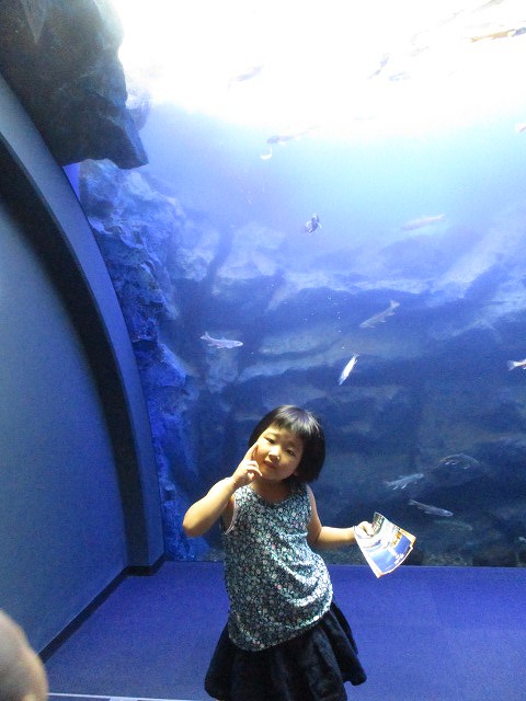 f0202703_2353180.jpg