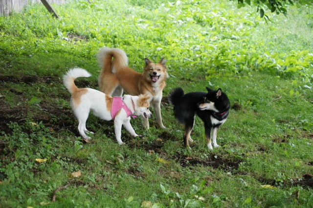f0327308_07512050.jpg